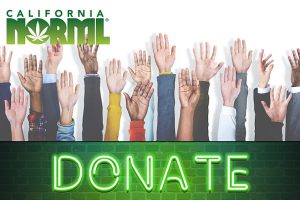 Donate to California NORML