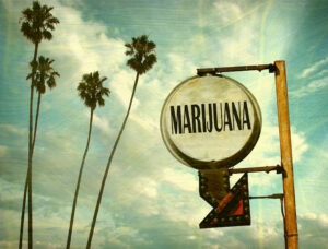 A retro-style sign with the word "MARIJUANA" in bold, black letters hangs against a backdrop of a partly cloudy sky and tall, slender palm trees. The sign includes a downward-pointing arrow with lights, reflecting the evolving cannabis laws in the area. CA Norml