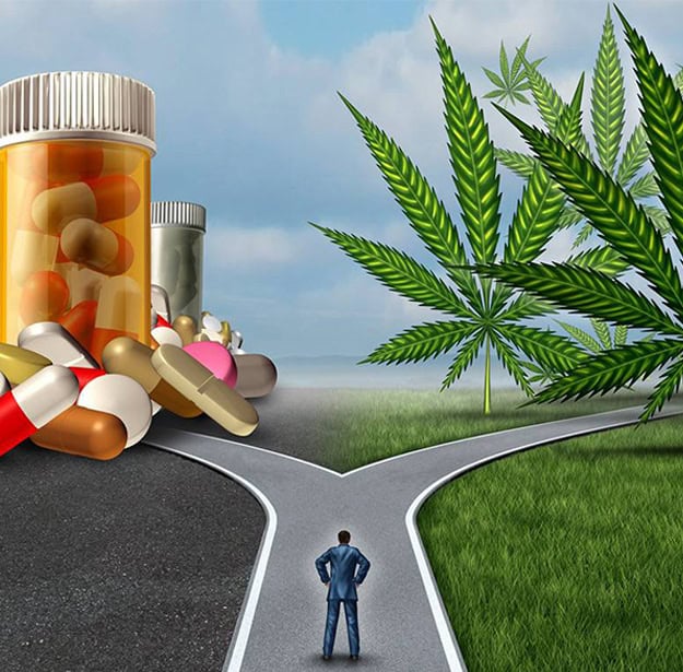 paths-cannabis-versus-opiates
