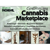 A promotional flyer for the CaNORML Cannabis Marketplace in California lists services including attorneys, doctors, business services, retailers, delivery, vaporizer resources, cannabis products, and services. It features related images and icons and highlights additional benefits available in our media kit. CA Norml