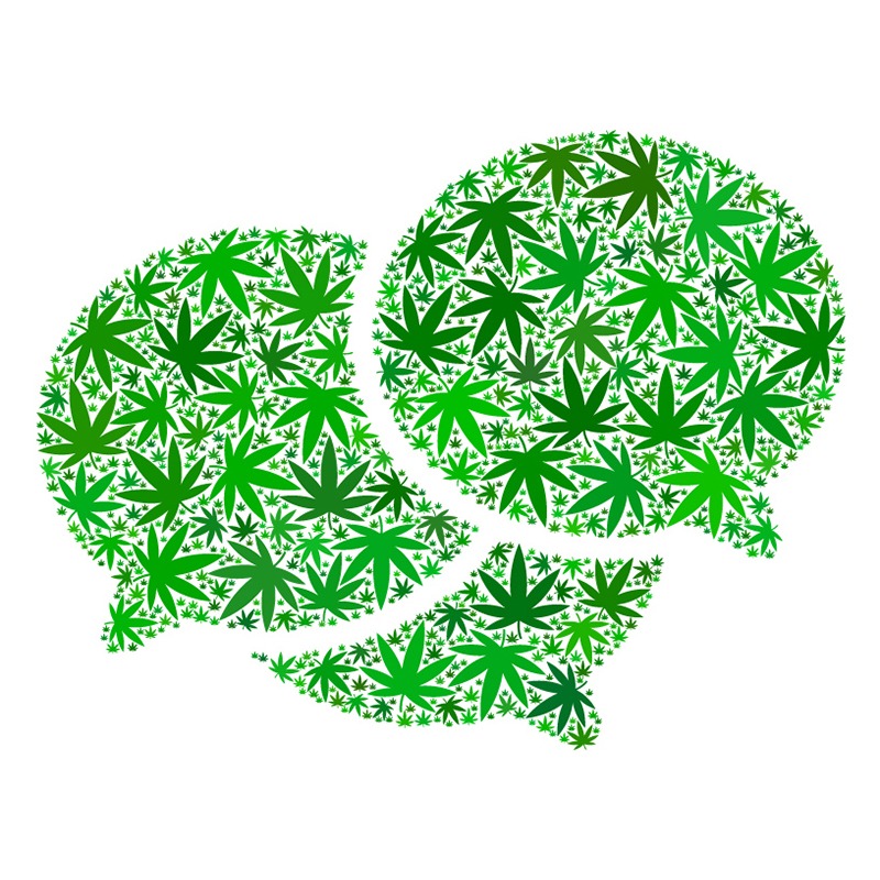 An illustration featuring two speech bubbles filled with overlapping green marijuana leaf patterns on a white background, symbolizing special partners with deep roots. CA Norml