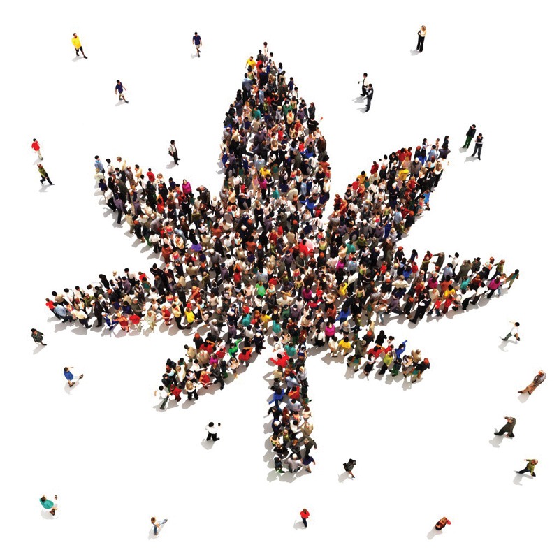 A large group of people are gathered and arranged to form the shape of a cannabis leaf on a white background, with a few scattered around the edges. Their deeproots in community spirit make this special display truly memorable. CA Norml