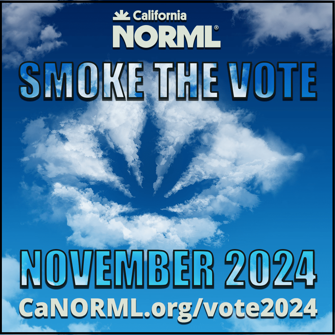 An image featuring a cloud shaped like a cannabis leaf in a blue sky. Above, the text reads "California NORML SMOKE THE VOTE." Below, it states "NOVEMBER 2024" and "CaNORML.org/vote2024. Check out the California Voters Guide for more on cannabis candidates and measures. CA Norml