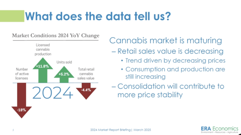 A presentation slide titled "What does the data tell us?" shows a graph and text about the cannabis market in 2024. It highlights a decrease in retail sales value by 4.4%, growth in units sold by 5.2%, and a decline in licenses by 18%. Additionally, it notes that the cannabis market is maturing, with increased consumption and production despite decreasing prices, and suggests consolidation for more price stability. CA Norml